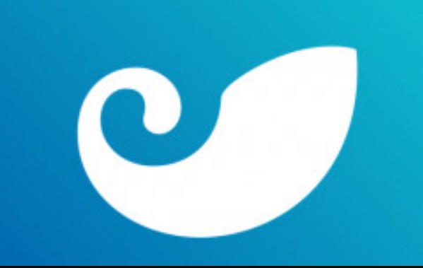 ToKEN钱包提现慢(ToKEN钱包手续费)